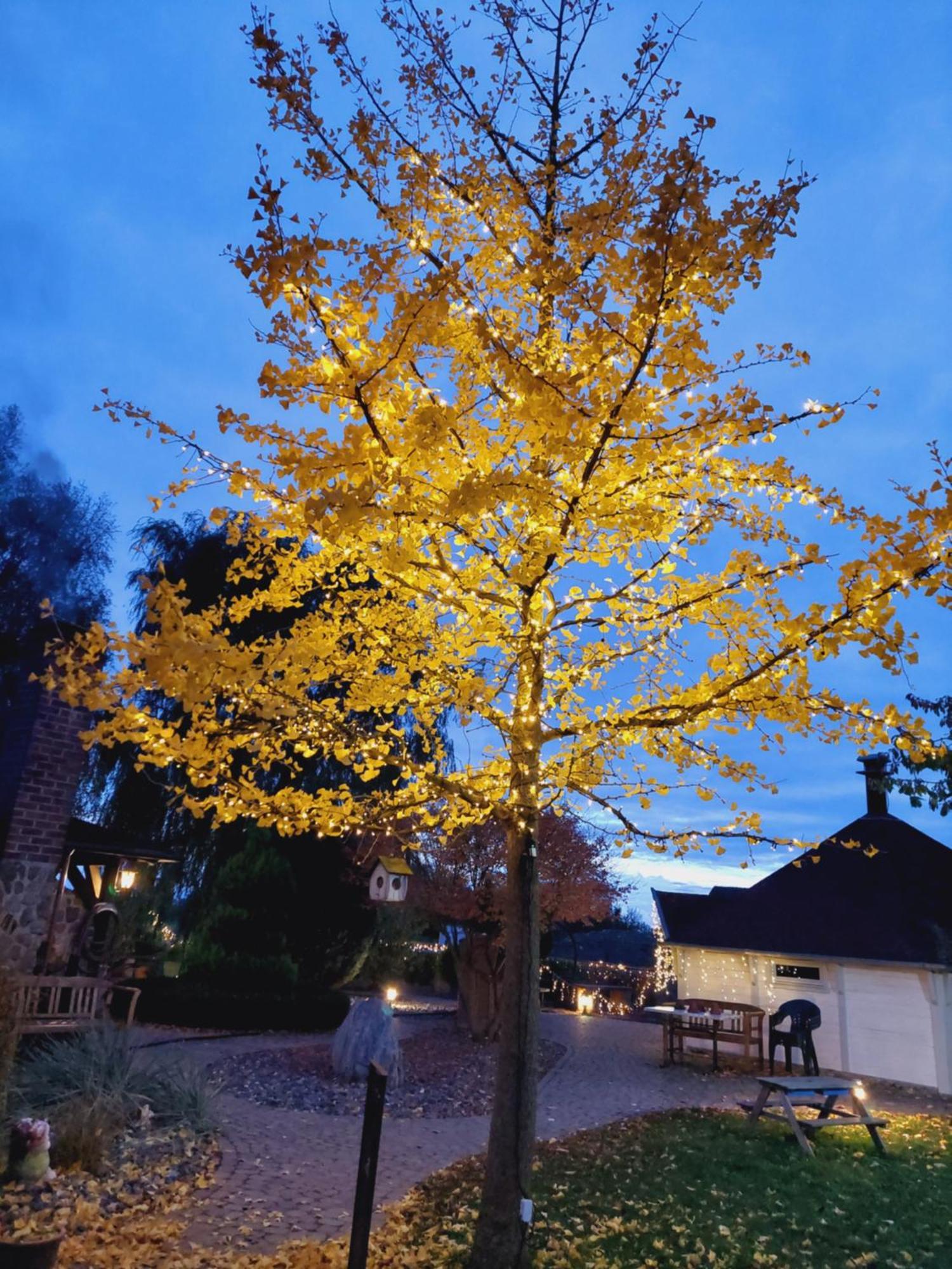 Landhaus Levitzow Bagian luar foto